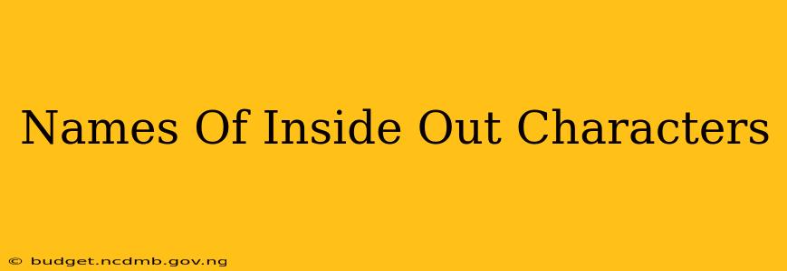 Names Of Inside Out Characters