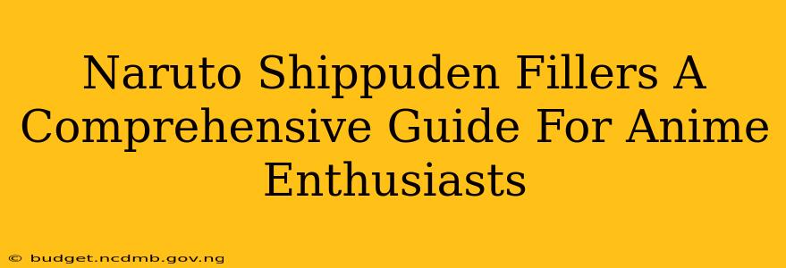 Naruto Shippuden Fillers A Comprehensive Guide For Anime Enthusiasts