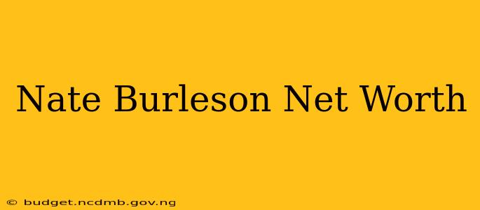 Nate Burleson Net Worth