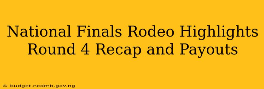 National Finals Rodeo Highlights Round 4 Recap and Payouts