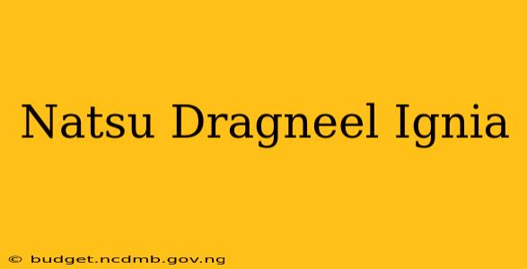 Natsu Dragneel Ignia