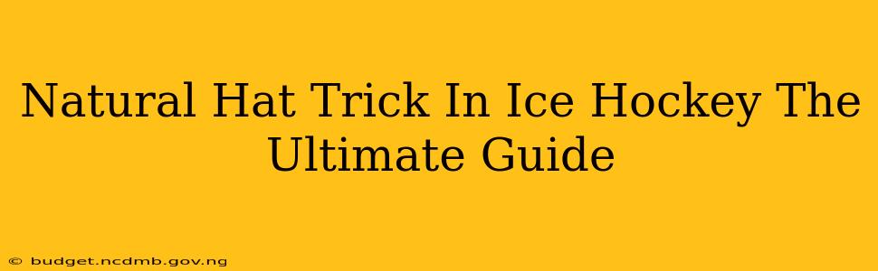 Natural Hat Trick In Ice Hockey The Ultimate Guide