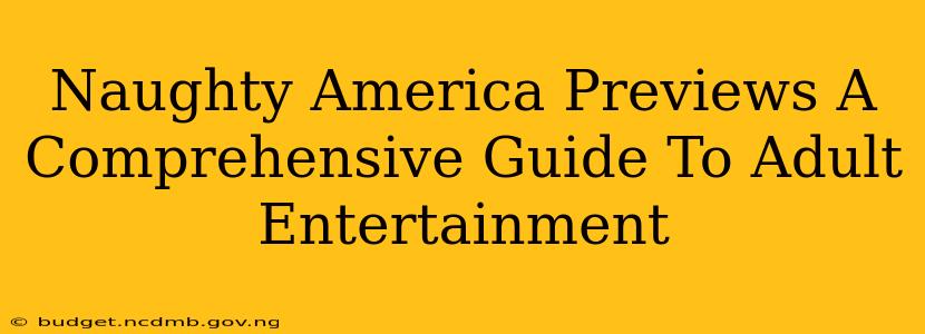 Naughty America Previews A Comprehensive Guide To Adult Entertainment