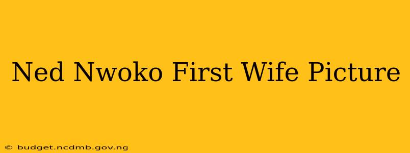 Ned Nwoko First Wife Picture