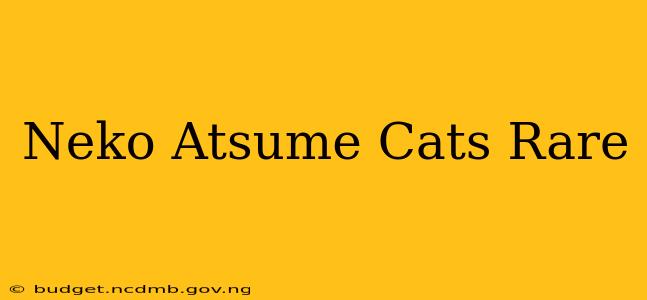 Neko Atsume Cats Rare