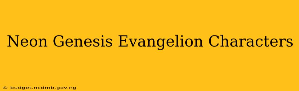 Neon Genesis Evangelion Characters