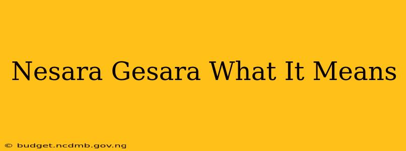 Nesara Gesara What It Means