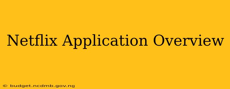 Netflix Application Overview