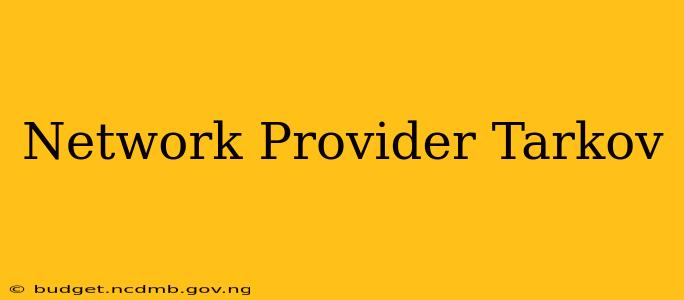 Network Provider Tarkov