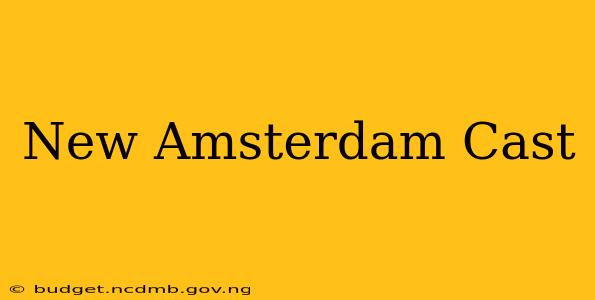 New Amsterdam Cast