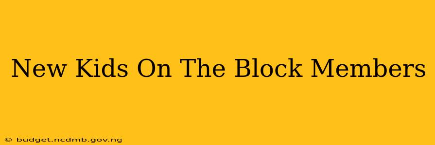 New Kids On The Block Members