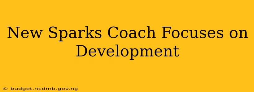 New Sparks Coach Focuses on Development