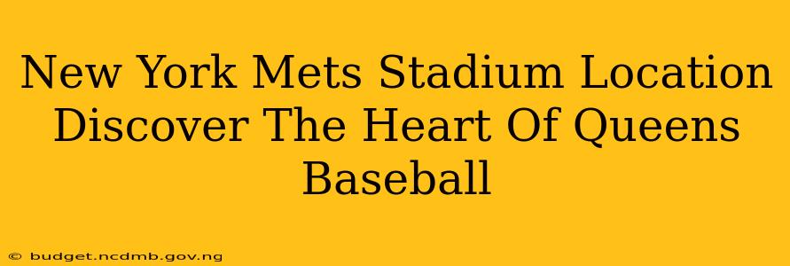 New York Mets Stadium Location Discover The Heart Of Queens Baseball