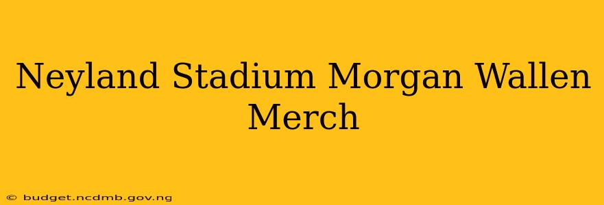 Neyland Stadium Morgan Wallen Merch