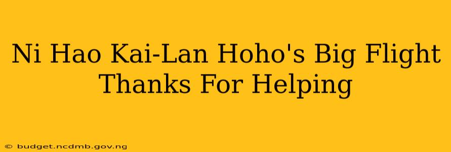 Ni Hao Kai-Lan Hoho's Big Flight Thanks For Helping