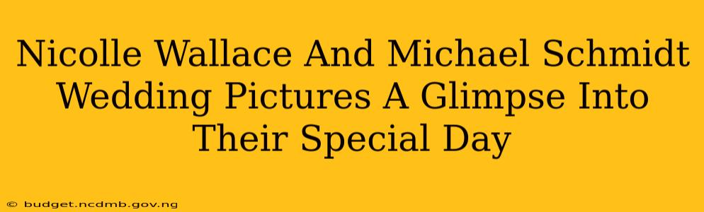 Nicolle Wallace And Michael Schmidt Wedding Pictures A Glimpse Into Their Special Day