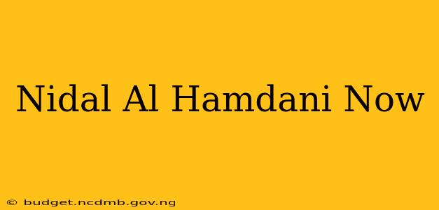 Nidal Al Hamdani Now