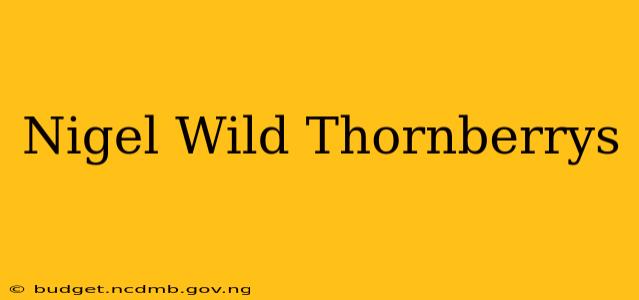 Nigel Wild Thornberrys