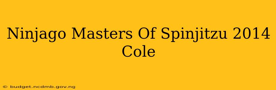 Ninjago Masters Of Spinjitzu 2014 Cole