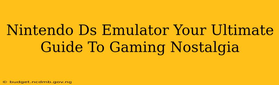 Nintendo Ds Emulator Your Ultimate Guide To Gaming Nostalgia