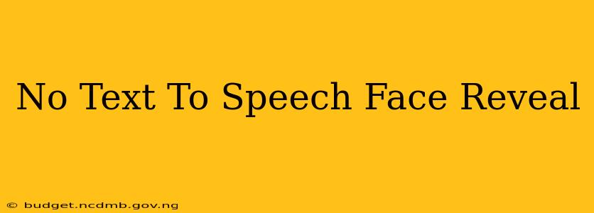 No Text To Speech Face Reveal