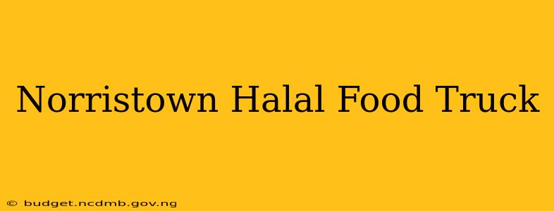 Norristown Halal Food Truck