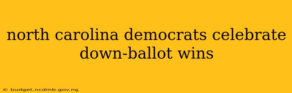 north carolina democrats celebrate down-ballot wins