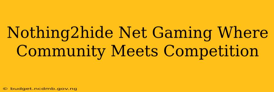 Nothing2hide Net Gaming Where Community Meets Competition