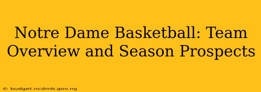 Notre Dame Basketball: Team Overview and Season Prospects