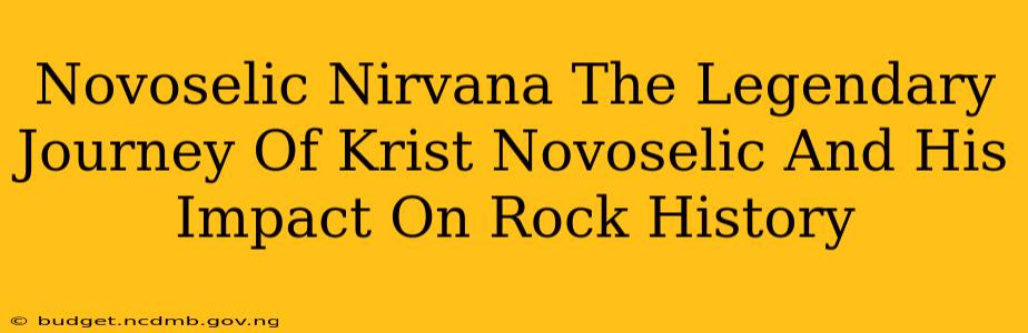 Novoselic Nirvana The Legendary Journey Of Krist Novoselic And His Impact On Rock History