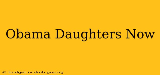Obama Daughters Now