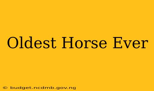 Oldest Horse Ever