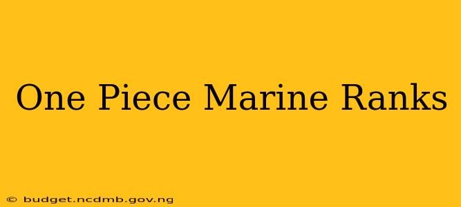 One Piece Marine Ranks