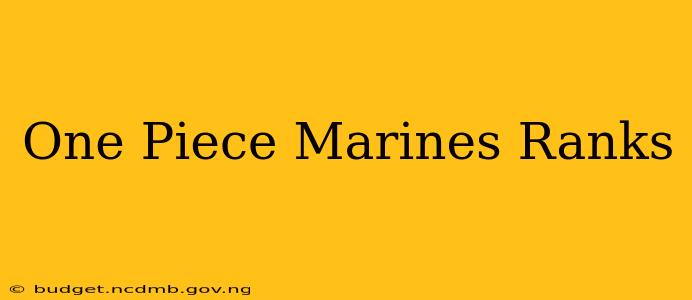 One Piece Marines Ranks