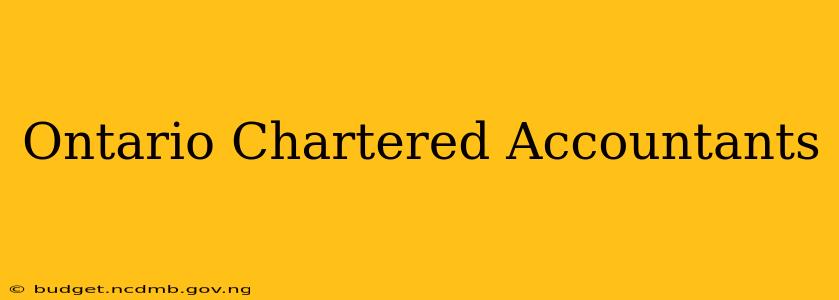 Ontario Chartered Accountants