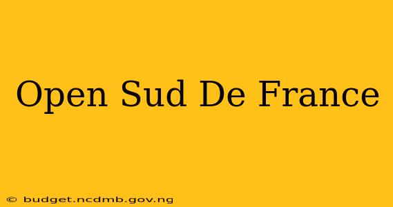 Open Sud De France