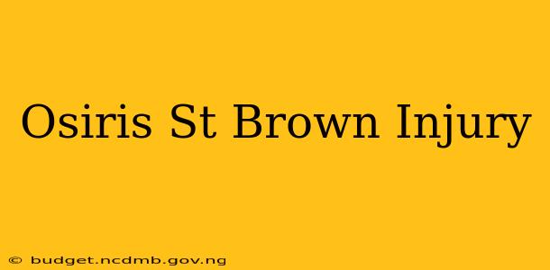 Osiris St Brown Injury