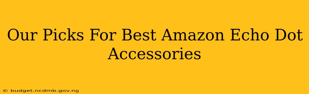 Our Picks For Best Amazon Echo Dot Accessories