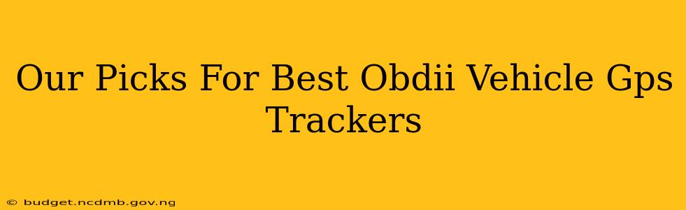 Our Picks For Best Obdii Vehicle Gps Trackers