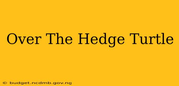 Over The Hedge Turtle