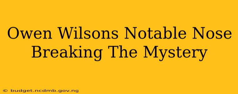 Owen Wilsons Notable Nose Breaking The Mystery