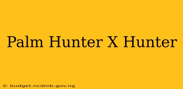 Palm Hunter X Hunter
