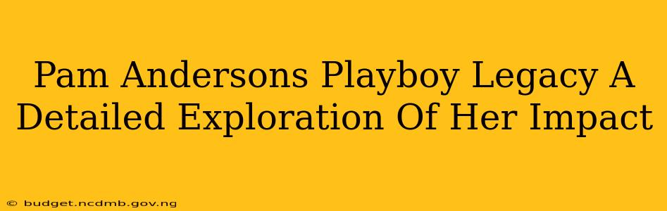 Pam Andersons Playboy Legacy A Detailed Exploration Of Her Impact