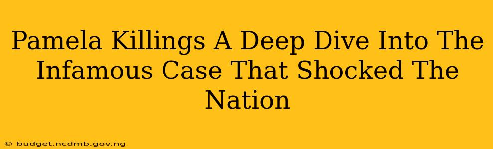 Pamela Killings A Deep Dive Into The Infamous Case That Shocked The Nation