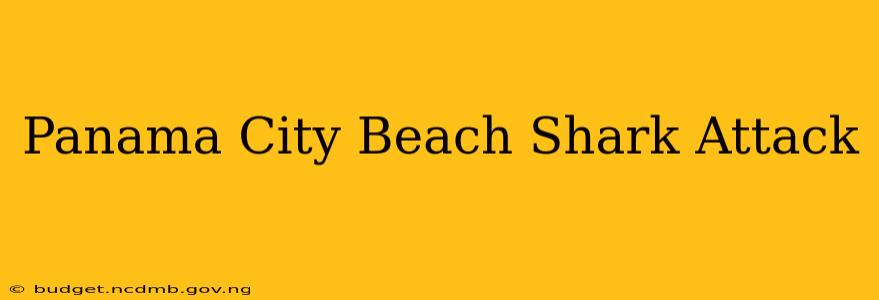 Panama City Beach Shark Attack
