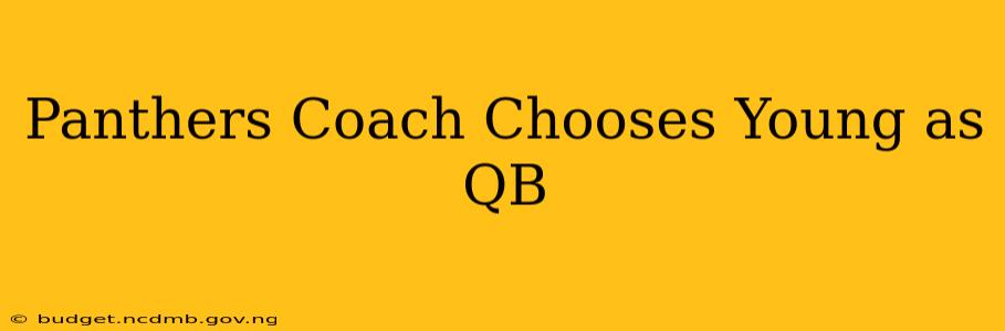 Panthers Coach Chooses Young as QB