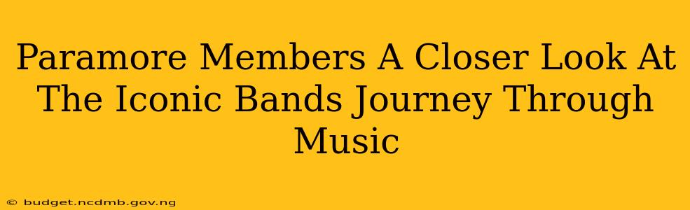 Paramore Members A Closer Look At The Iconic Bands Journey Through Music