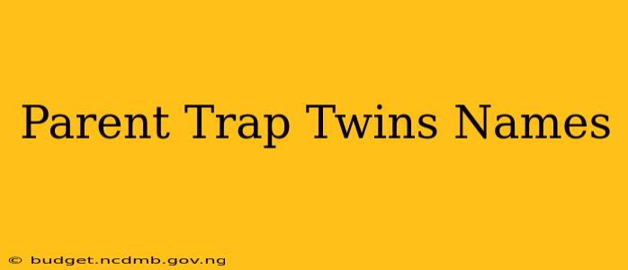 Parent Trap Twins Names