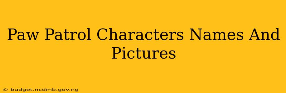 Paw Patrol Characters Names And Pictures