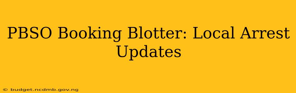 PBSO Booking Blotter: Local Arrest Updates